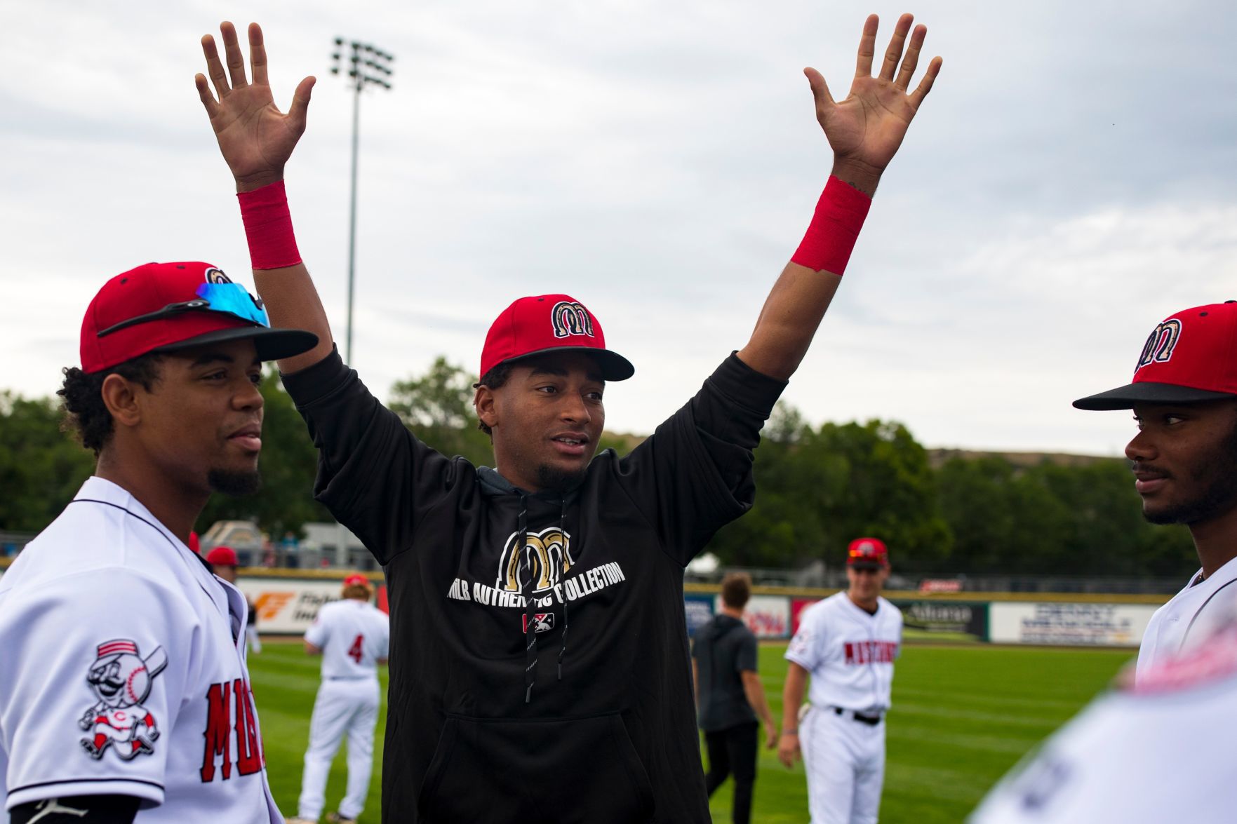 Mustangs vs. Chukars